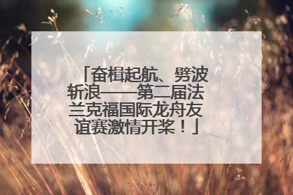 奋楫起航、劈波斩浪——第二届法兰克福国际龙舟友谊赛激情开桨！