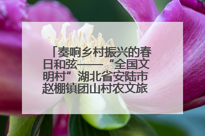 奏响乡村振兴的春日和弦——“全国文明村”湖北省安陆市赵棚镇团山村农文旅融合发展见闻