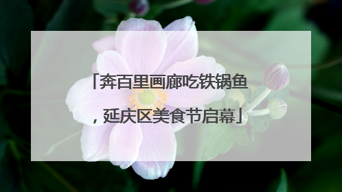 奔百里画廊吃铁锅鱼，延庆区美食节启幕