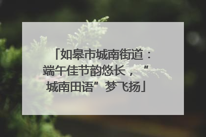 如皋市城南街道：端午佳节韵悠长，“城南田语”梦飞扬
