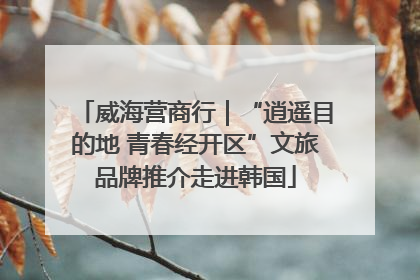 威海营商行｜“逍遥目的地 青春经开区”文旅品牌推介走进韩国