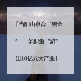 当阳山泉育“黑金” 一条鲟鱼“游”出10亿元大产业