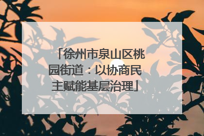 徐州市泉山区桃园街道：以协商民主赋能基层治理