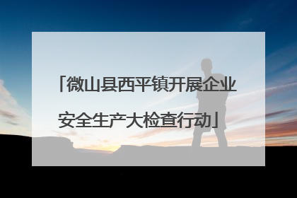 微山县西平镇开展企业安全生产大检查行动