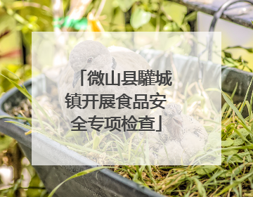 微山县驩城镇开展食品安全专项检查