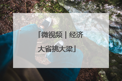 微视频｜经济大省挑大梁