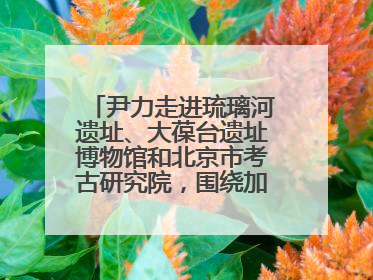 尹力走进琉璃河遗址、大葆台遗址博物馆和北京市考古研究院，围绕加强历史文化名城保护调研