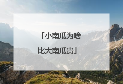 小南瓜为啥比大南瓜贵