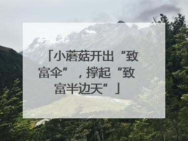 小蘑菇开出“致富伞”，撑起“致富半边天”