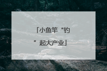 小鱼竿“钓”起大产业