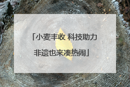 小麦丰收 科技助力 非遗也来凑热闹