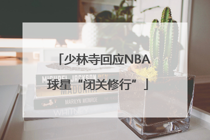 少林寺回应NBA球星“闭关修行”