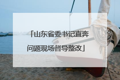 山东省委书记直奔问题现场督导整改