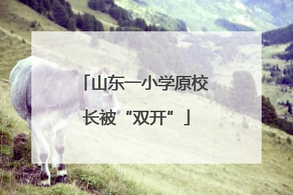 山东一小学原校长被“双开”