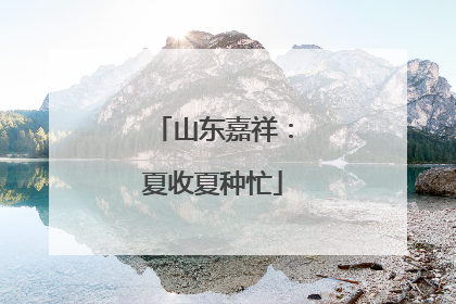 山东嘉祥：夏收夏种忙
