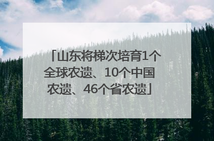 山东将梯次培育1个全球农遗、10个中国农遗、46个省农遗