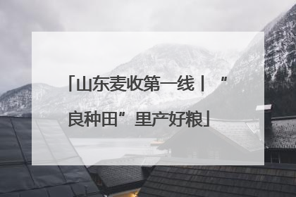 山东麦收第一线丨“良种田”里产好粮