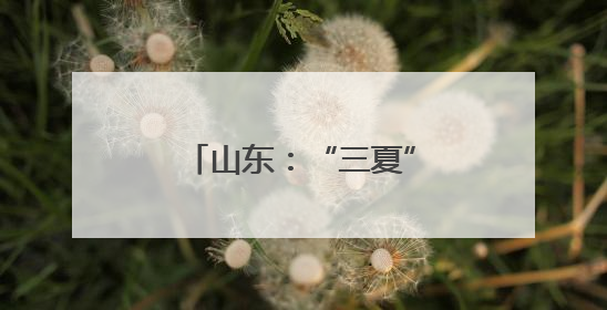 山东：“三夏”大忙将开始 机收减损在田间