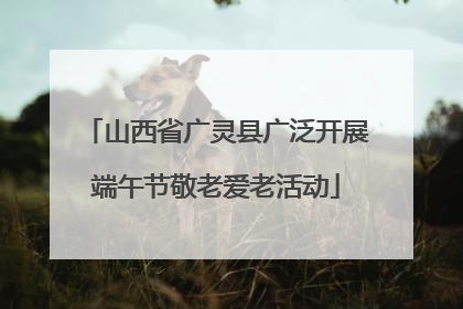 山西省广灵县广泛开展端午节敬老爱老活动