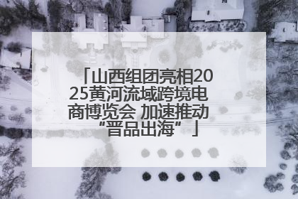 山西组团亮相2025黄河流域跨境电商博览会 加速推动“晋品出海”