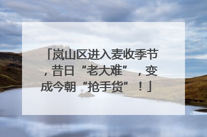 岚山区进入麦收季节，昔日“老大难”，变成今朝“抢手货”！