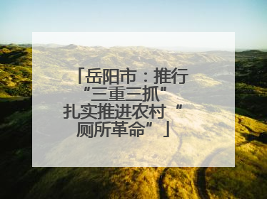 岳阳市：推行“三重三抓” 扎实推进农村“厕所革命”