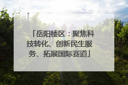 岳阳楼区：聚焦科技转化、创新民生服务、拓展国际赛道