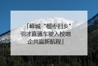 峄城“榴枣归乡”引才直通车驶入校地企共赢新航程