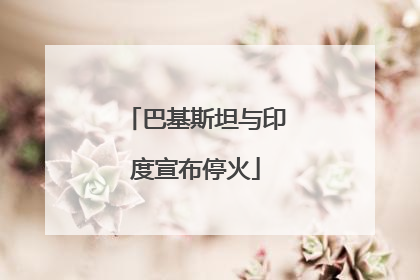 巴基斯坦与印度宣布停火
