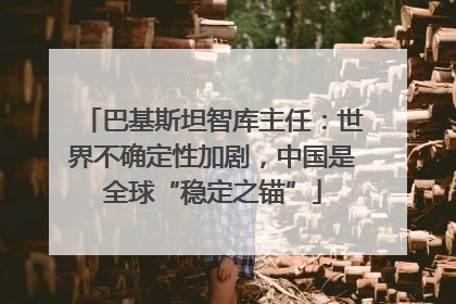 巴基斯坦智库主任：世界不确定性加剧，中国是全球“稳定之锚”