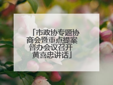 市政协专题协商会暨重点提案督办会议召开 黄喜忠讲话