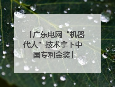 广东电网“机器代人”技术拿下中国专利金奖