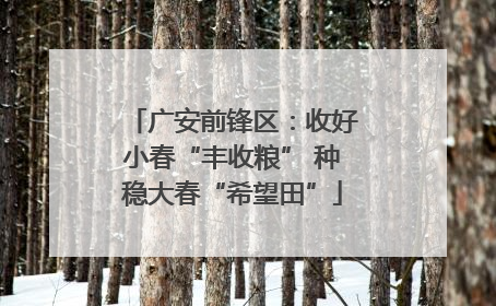 广安前锋区：收好小春“丰收粮” 种稳大春“希望田”
