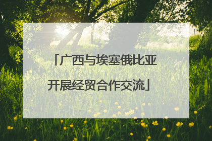 广西与埃塞俄比亚开展经贸合作交流