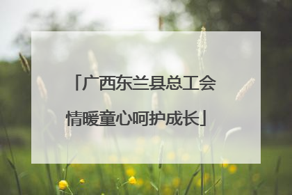 广西东兰县总工会情暖童心呵护成长