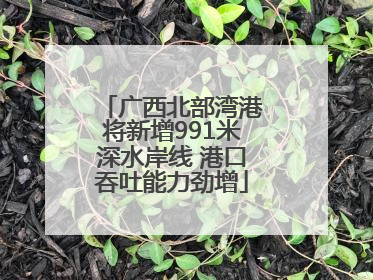 广西北部湾港将新增991米深水岸线 港口吞吐能力劲增