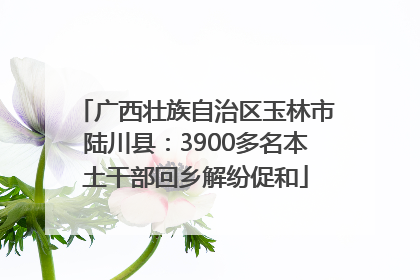 广西壮族自治区玉林市陆川县：3900多名本土干部回乡解纷促和