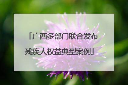 广西多部门联合发布残疾人权益典型案例