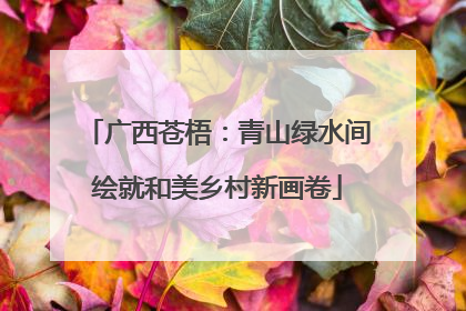 广西苍梧：青山绿水间绘就和美乡村新画卷