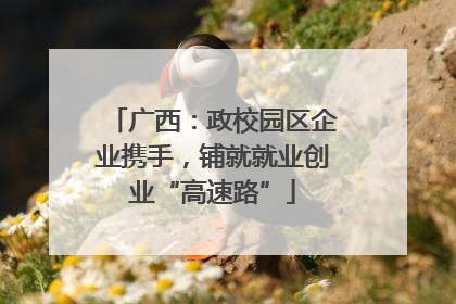广西：政校园区企业携手，铺就就业创业“高速路”