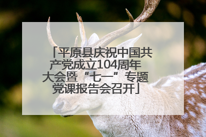 平原县庆祝中国共产党成立104周年大会暨“七一”专题党课报告会召开