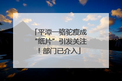 平潭一骆驼瘦成“纸片”引发关注！部门已介入
