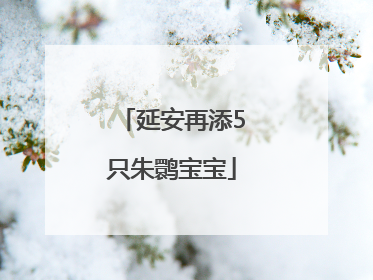 延安再添5只朱鹮宝宝
