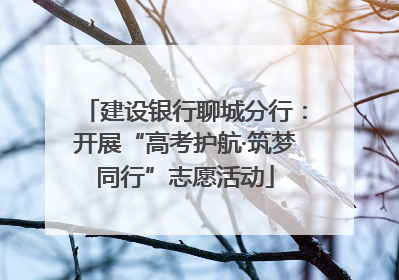 建设银行聊城分行：开展“高考护航·筑梦同行”志愿活动