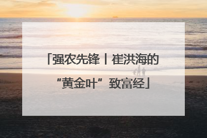 强农先锋丨崔洪海的“黄金叶”致富经