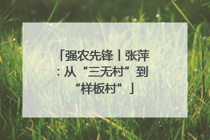 强农先锋丨张萍：从“三无村”到“样板村”