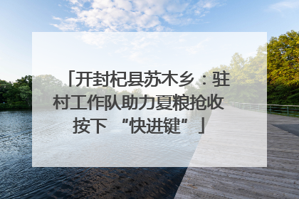 开封杞县苏木乡：驻村工作队助力夏粮抢收按下 “快进键”