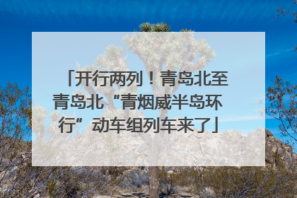开行两列！青岛北至青岛北“青烟威半岛环行”动车组列车来了