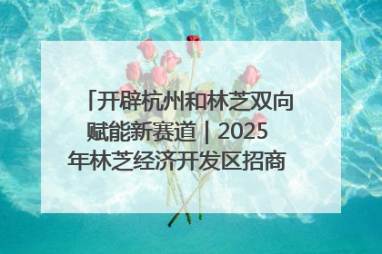 开辟杭州和林芝双向赋能新赛道｜2025年林芝经济开发区招商引资（杭州）推介展销活动在杭举办