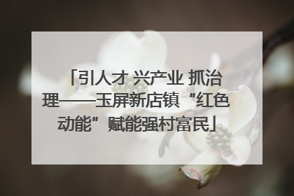 引人才 兴产业 抓治理——玉屏新店镇“红色动能”赋能强村富民